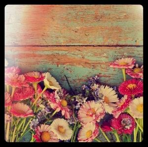 Thanks for stopping by my closet ☺️